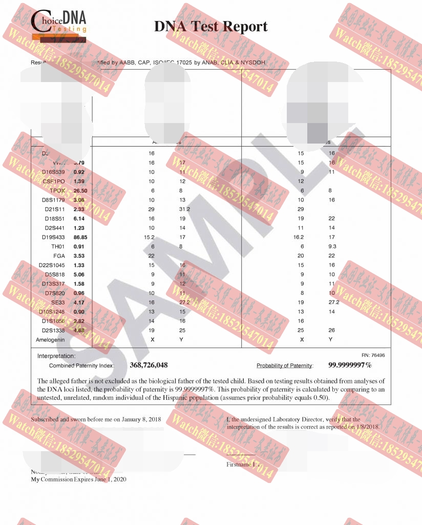 一比一原版DNA亲子鉴定书