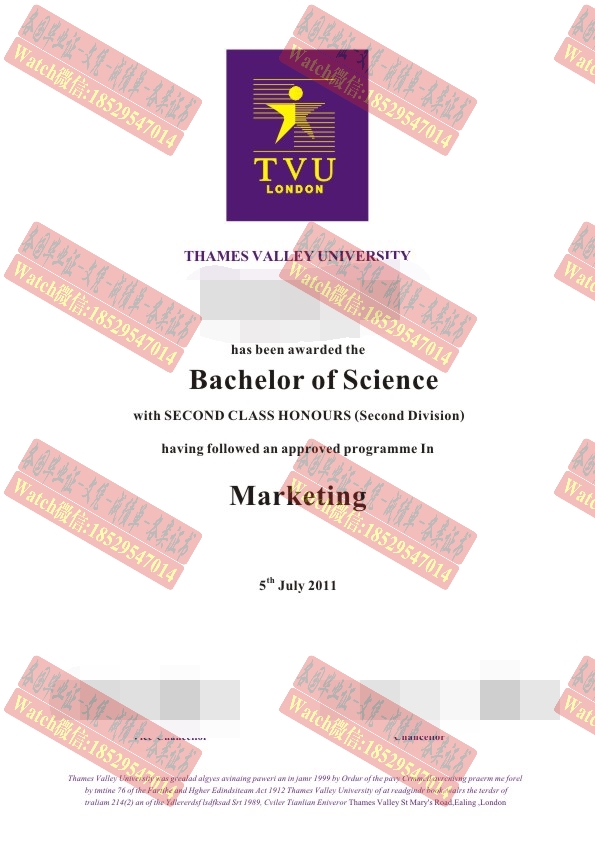 一比一原版泰晤士河谷大学文凭