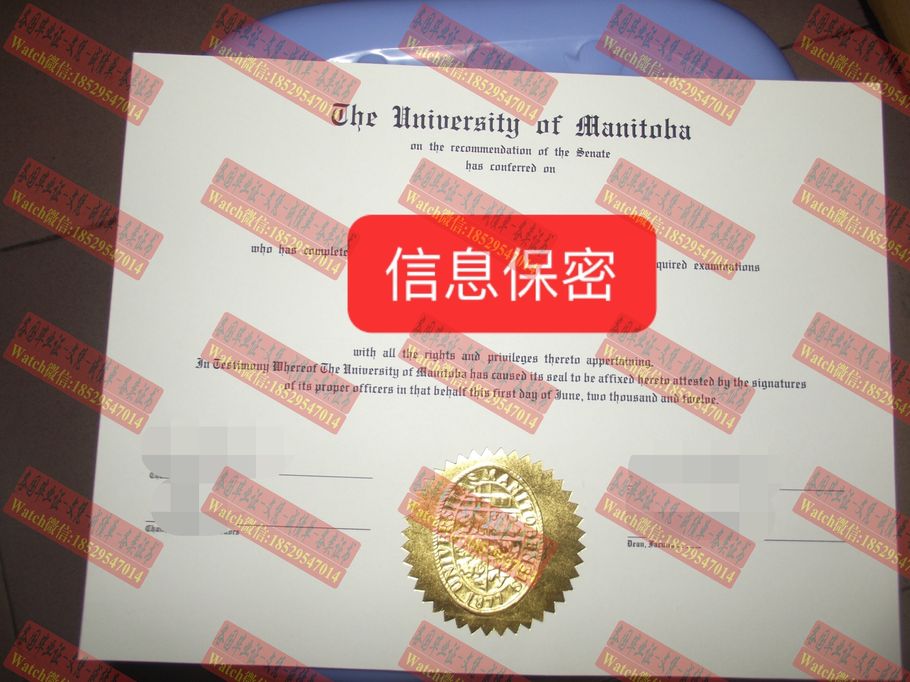 一比一原版马尼托巴大学文凭学位