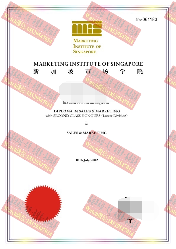 制作新加坡市场学院文凭学位