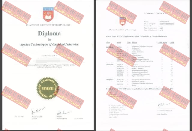 制作新加坡特许科技学院文凭