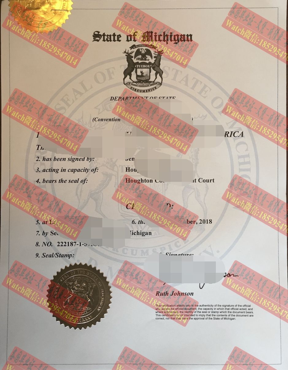 办理美国密歇根州海牙认证