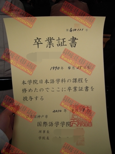 原版神户市国际语学学院文凭学位