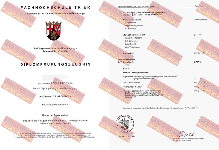 在线办理特里尔应用技术大学学位证书