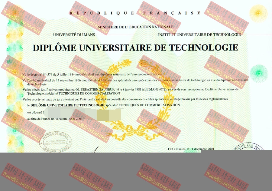 订购缅因大学大学技术学院文凭